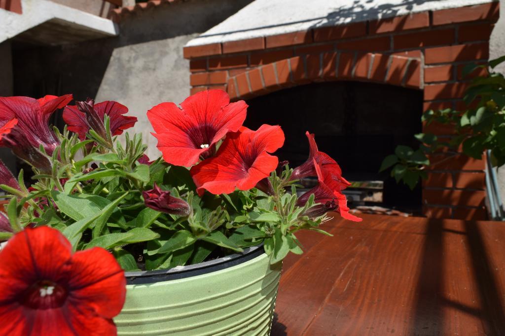 Peter Pan Apartments Palit Zewnętrze zdjęcie